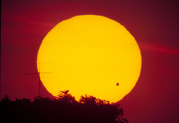 Venus Transit 2004