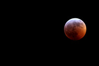 Lunar Eclipse Jan 20-21 2019