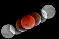 Lunar Eclipse 2019 Composite II