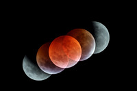 Lunar Eclipse 2019 Composite