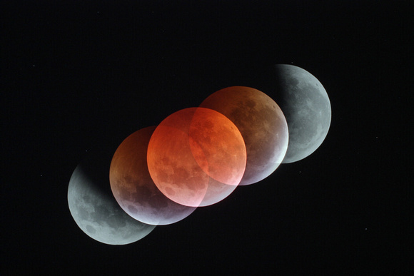 Lunar Eclipse 2019 Composite