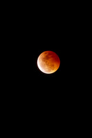 Total Lunar Eclipse 2004