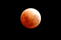 Total Lunar Eclipse 2008